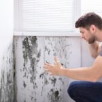 mold damage