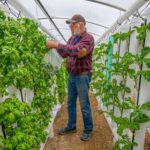 Hydroponic Tower