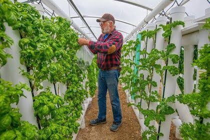 Hydroponic Tower