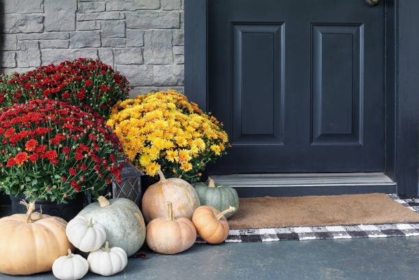 door mats