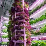 aeroponic tower garden