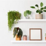 plant wall decor